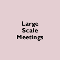 Large Scale Meetings