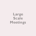 Large Scale Meetings